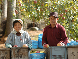 �̌��w�K�C���[�W